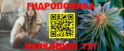 ешки Новокубанск